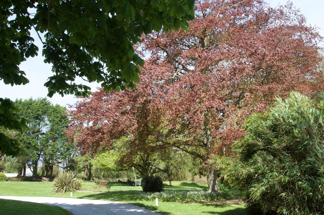 مبيت وإفطار ويدبريدج Trewornan Manor المظهر الخارجي الصورة